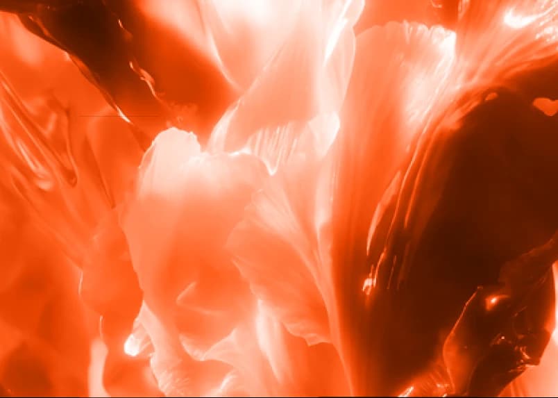 Hero section design image 02